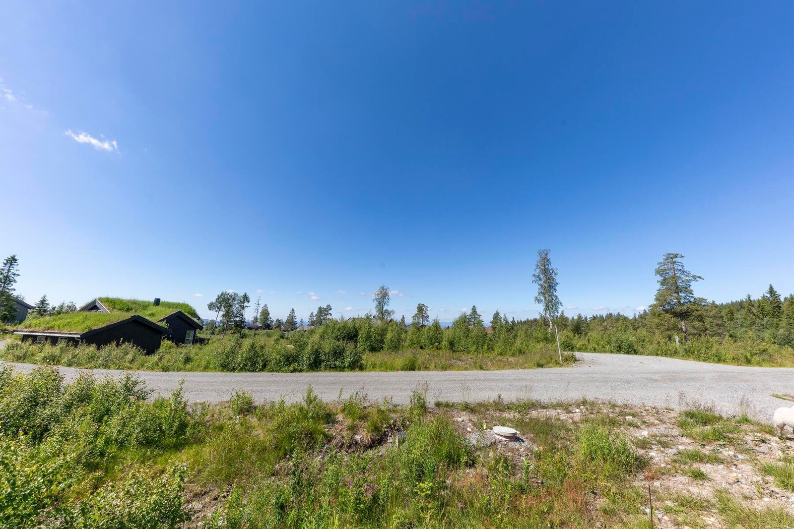 Utsikt fra tomta. Galleribilde