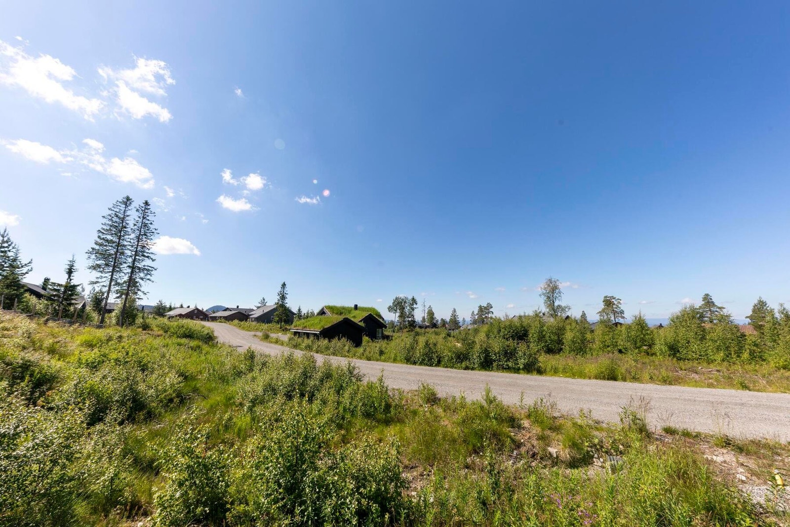 Utsikt fra tomta. Galleribilde