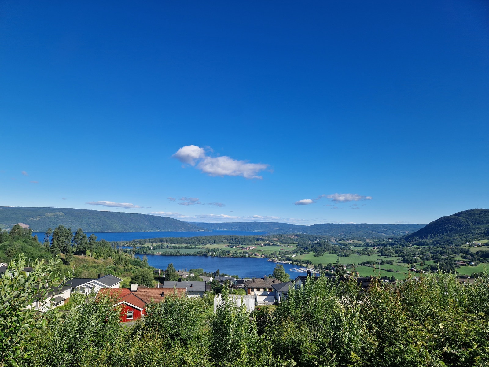 Utsiktsbilde tatt like ved tomten Galleribilde