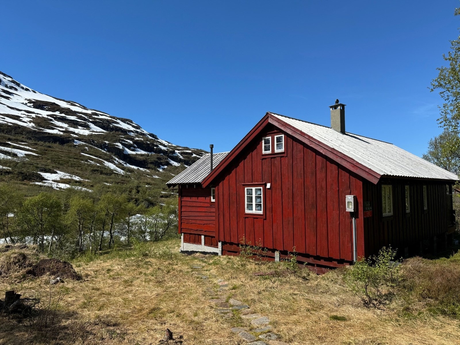 Flott i fjellet nå... Galleribilde