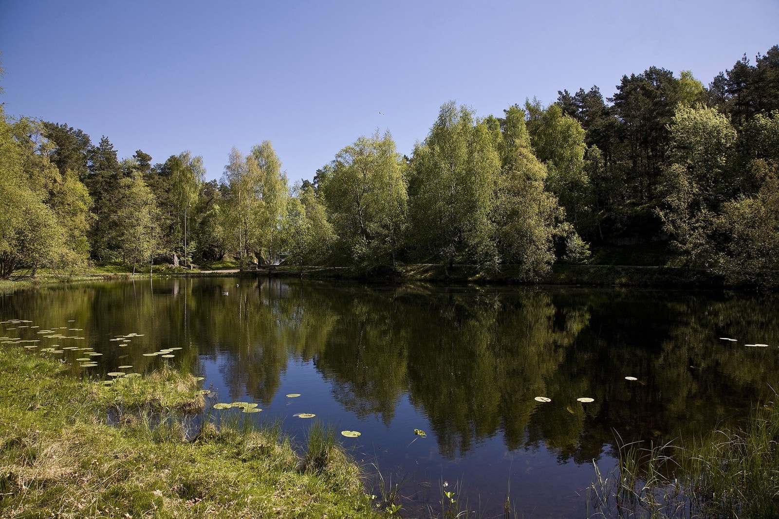 Område Galleribilde