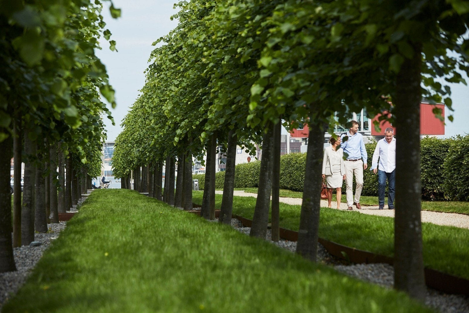 Alléen Galleribilde