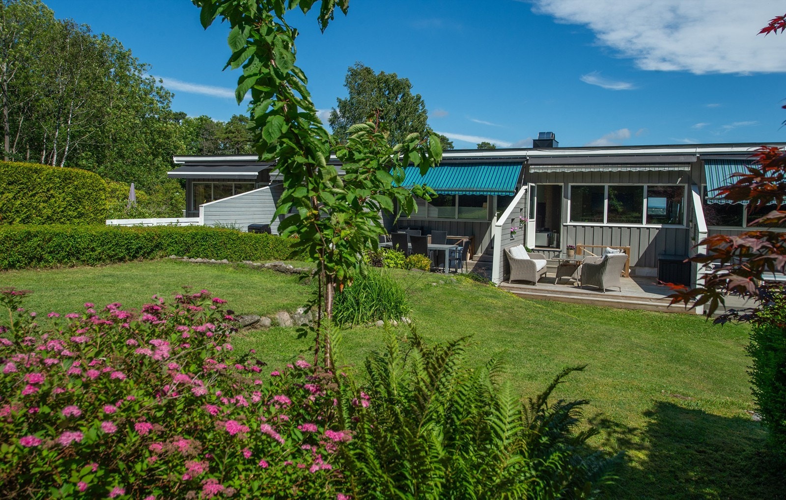 Utearealene er orientert mot skogen, skjermet og fredfylt. Galleribilde