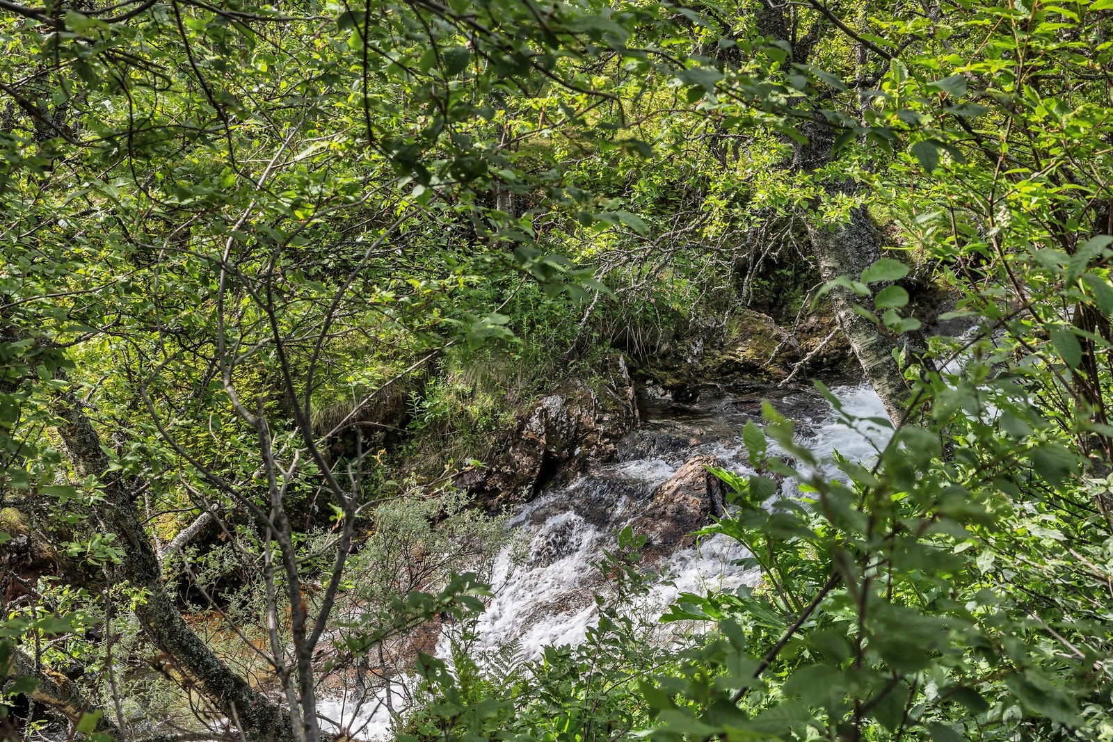 Området byr på flotte turopplevelser både for liten og stor. Galleribilde