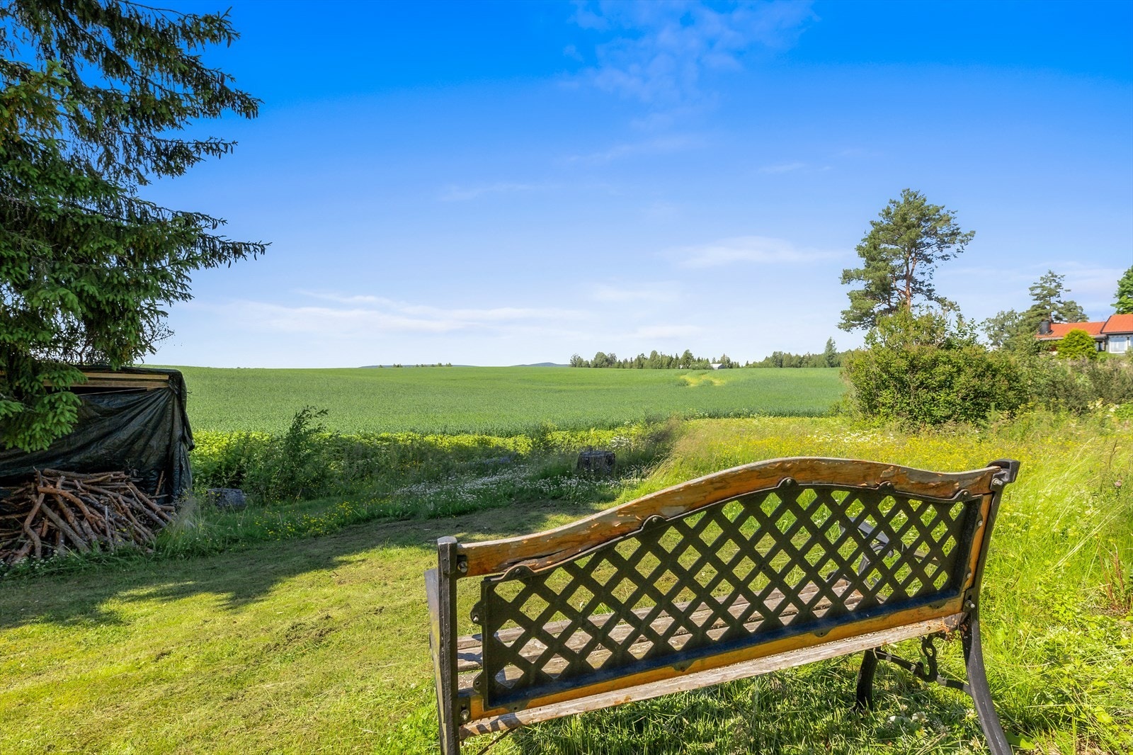 Nydelig utsikt over grønne områder fra hagen Galleribilde