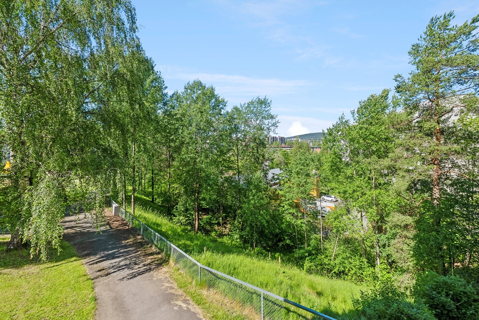 Fra nærområdet. Galleribilde