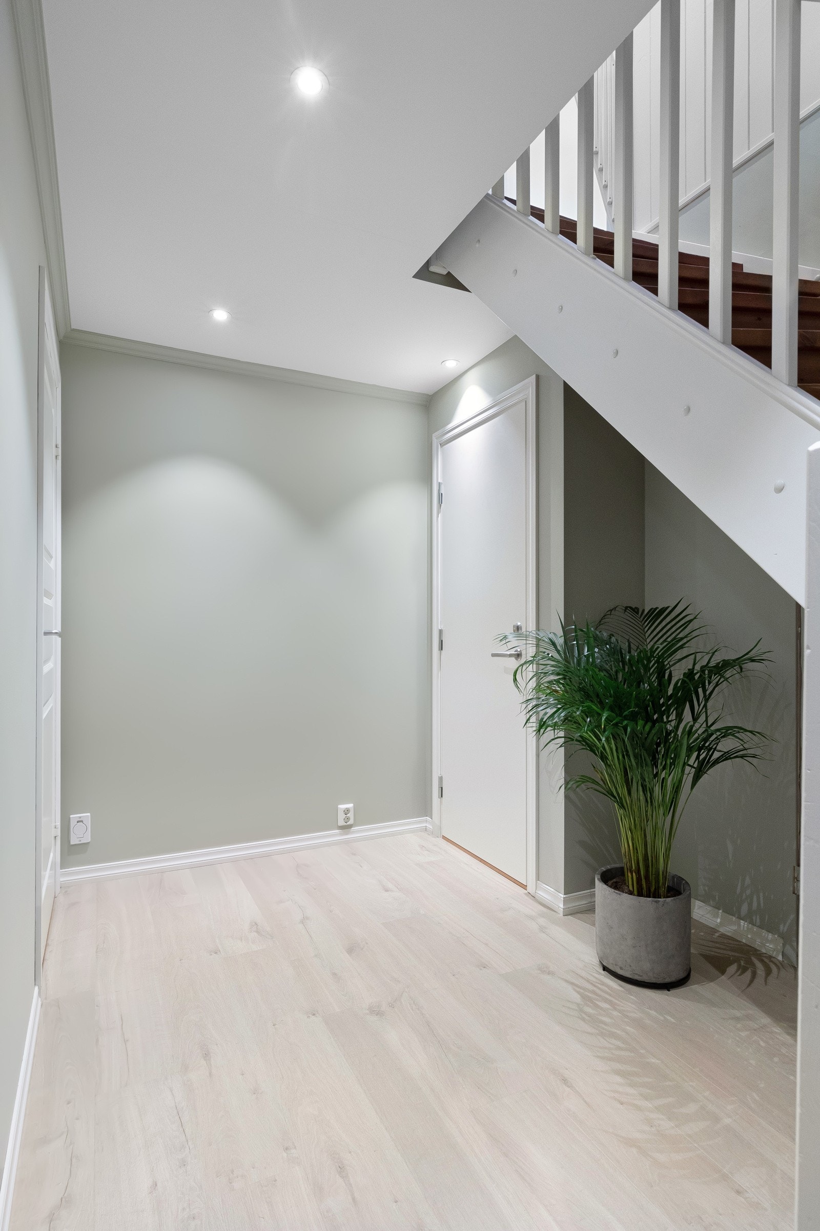 Kjelleretasje med bla. stor bod, vaskerom mm. Galleribilde