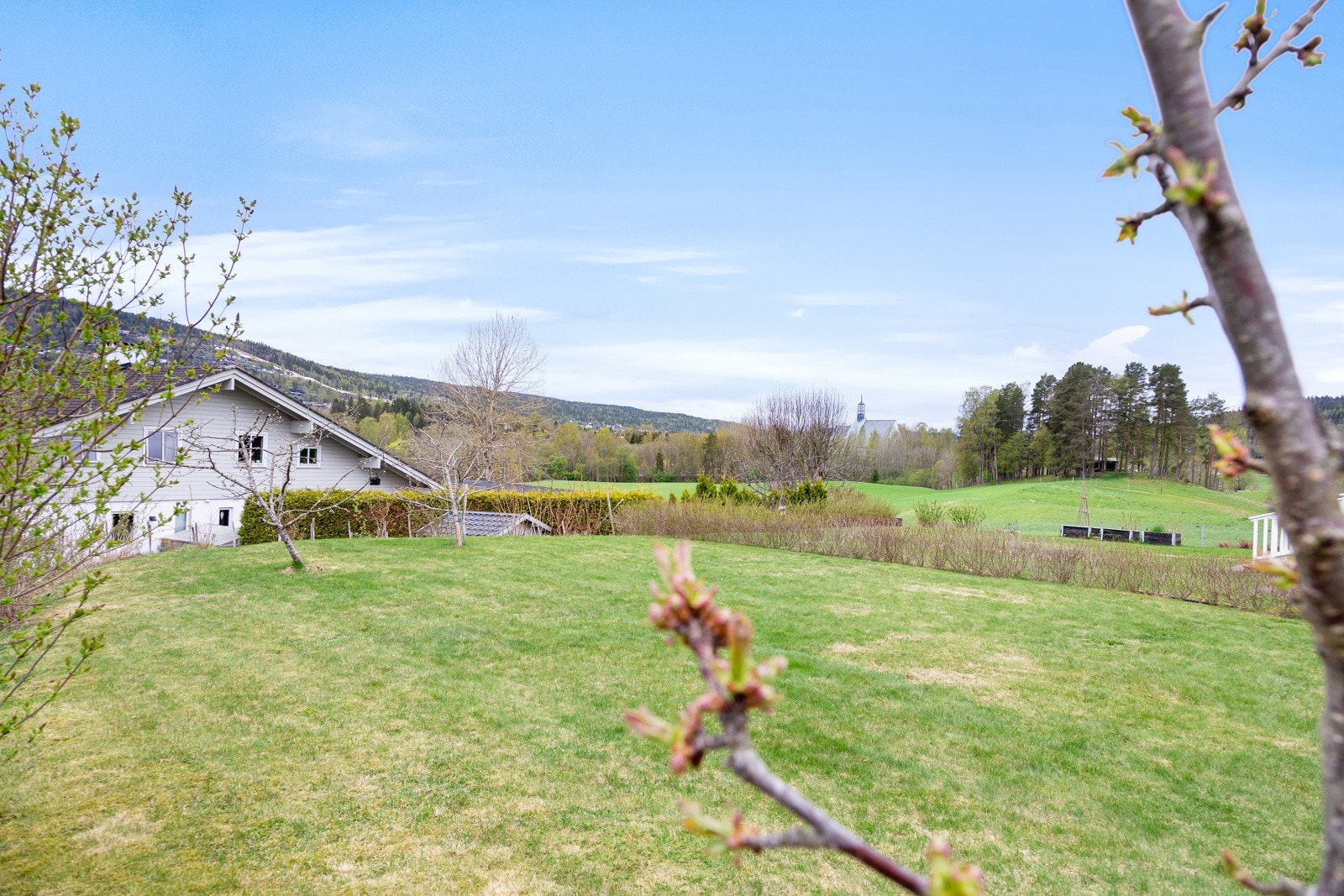 Hagen er beplantet med to epletrær, kirsebær, morelltre og bringebærbusker Galleribilde