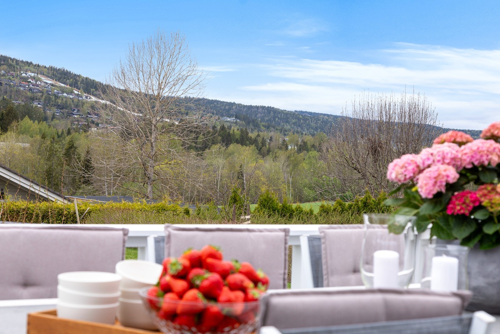 Herlig utsikt fra terrassen Galleribilde