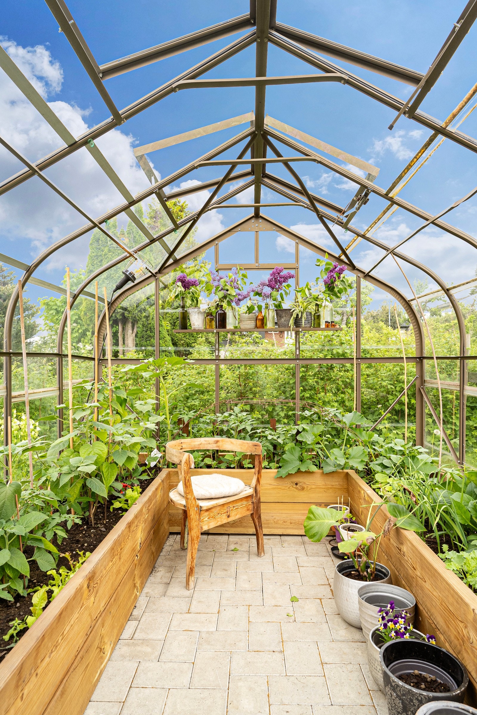 Hyggelig drivhus hvor du kan dyrke både blomster og grønnsaker Galleribilde