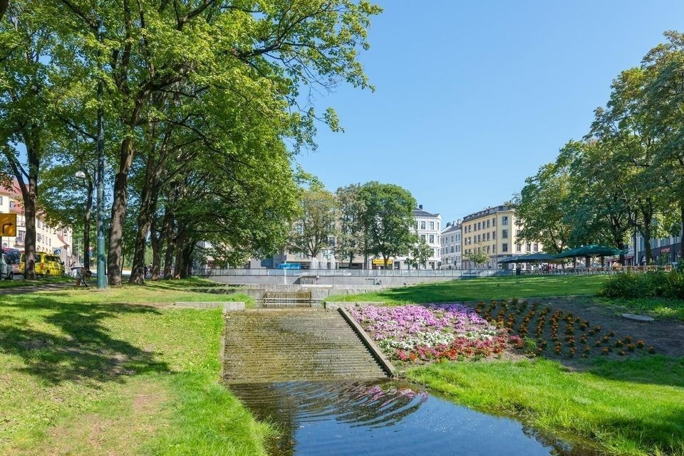 Nærområde Galleribilde