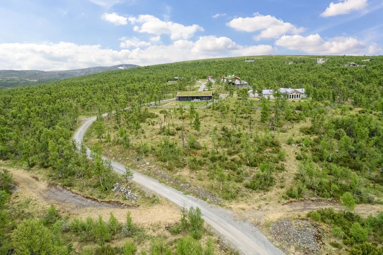 Tomta sees her i forgrunnen. Galleribilde