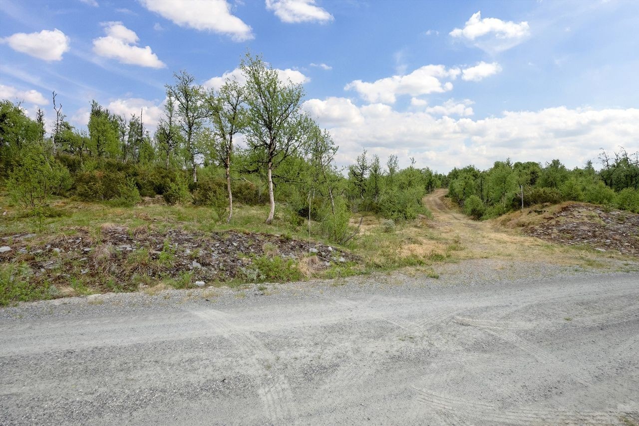 Det prepareres flotte skiløyper vinterstid som passerer rett nedenfor eiendommen. Vingelen har ofte gode forhold tidlig med natursnø. Galleribilde