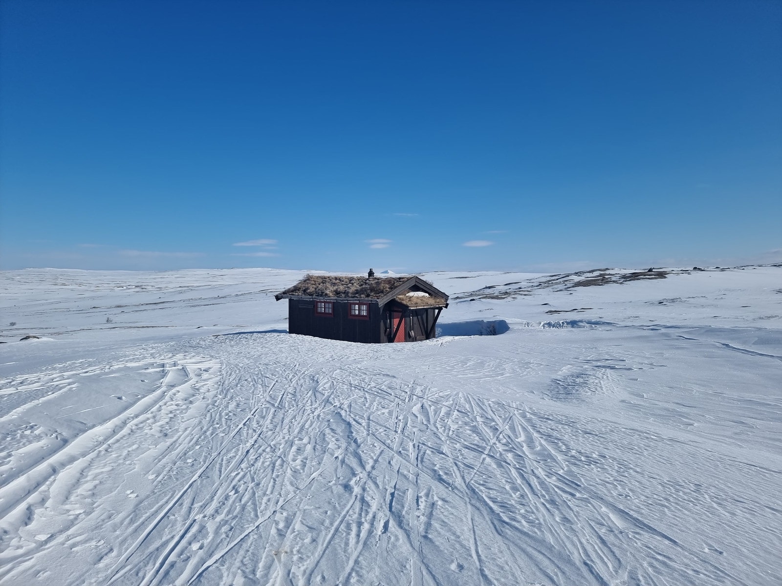 Forollhogna Galleribilde