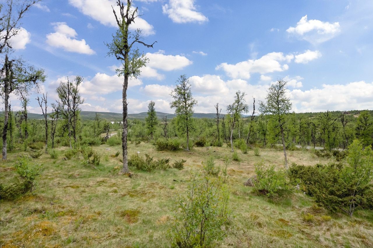 Åpen utsikt fra tomta. Sørvestvendt Galleribilde