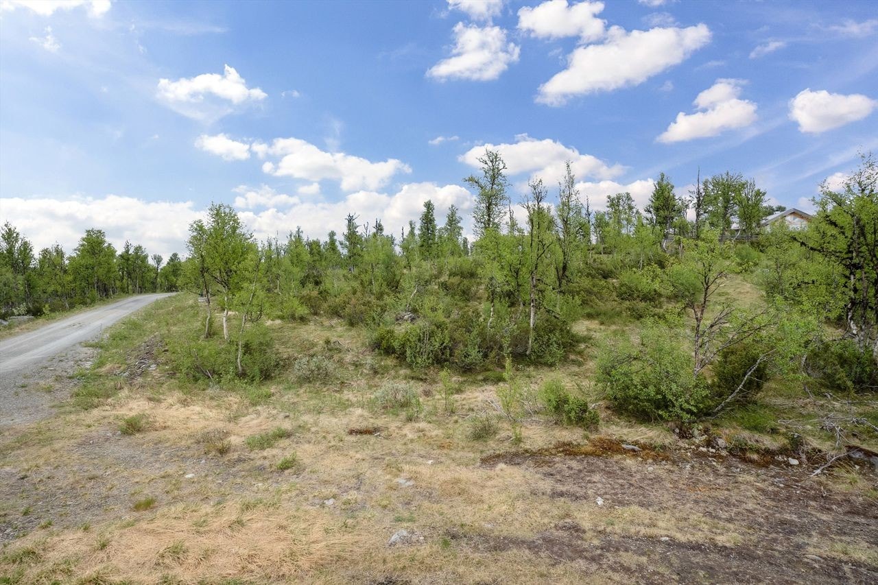 Tomta ligger i slakt skrående terreng Galleribilde
