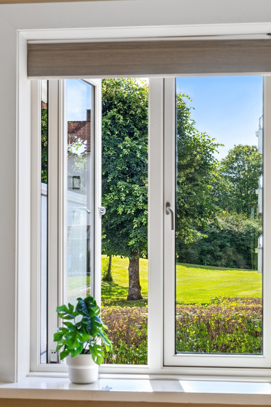 Vindu fra soverom mot grøntområder - et friskt utsyn på sommeren. Galleribilde
