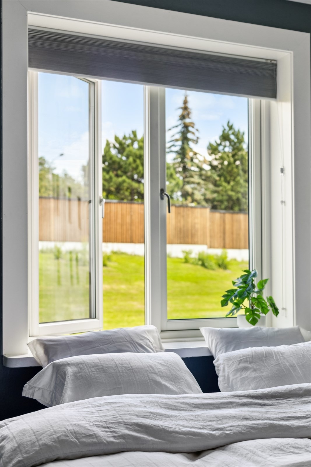 Stort vindu som slipper inn rikelig med naturlig lys - bidrar til en frisk atmosfære. Galleribilde