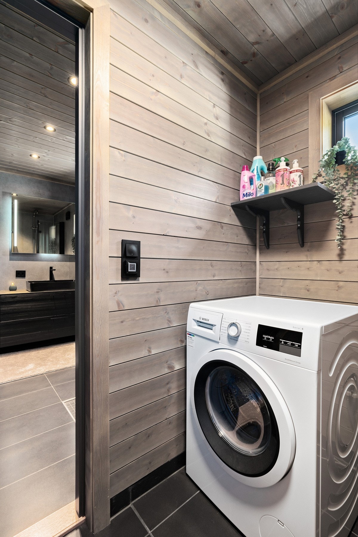 Vaskerom Galleribilde