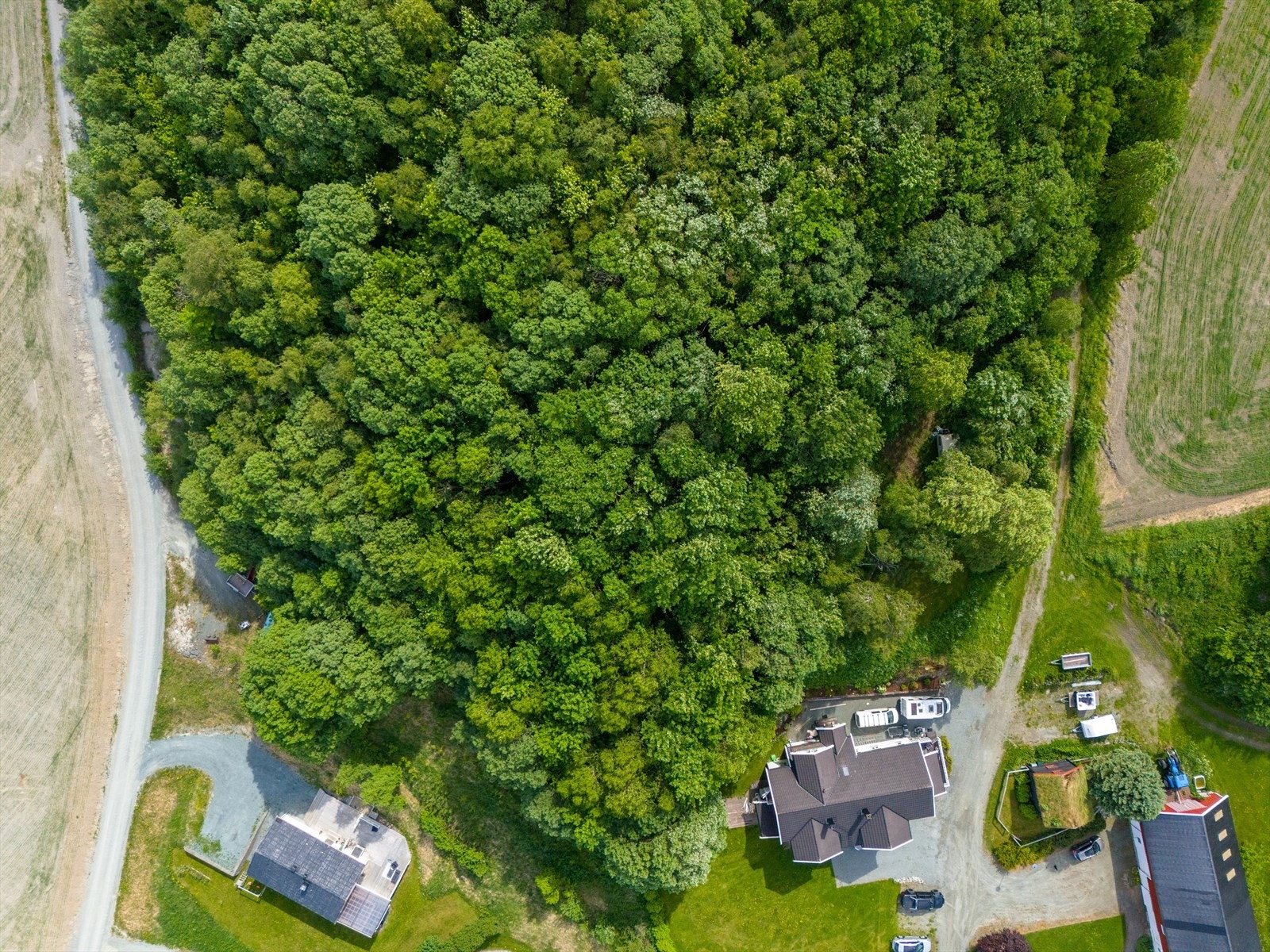 Tomt på ca. 4 250 m². Galleribilde