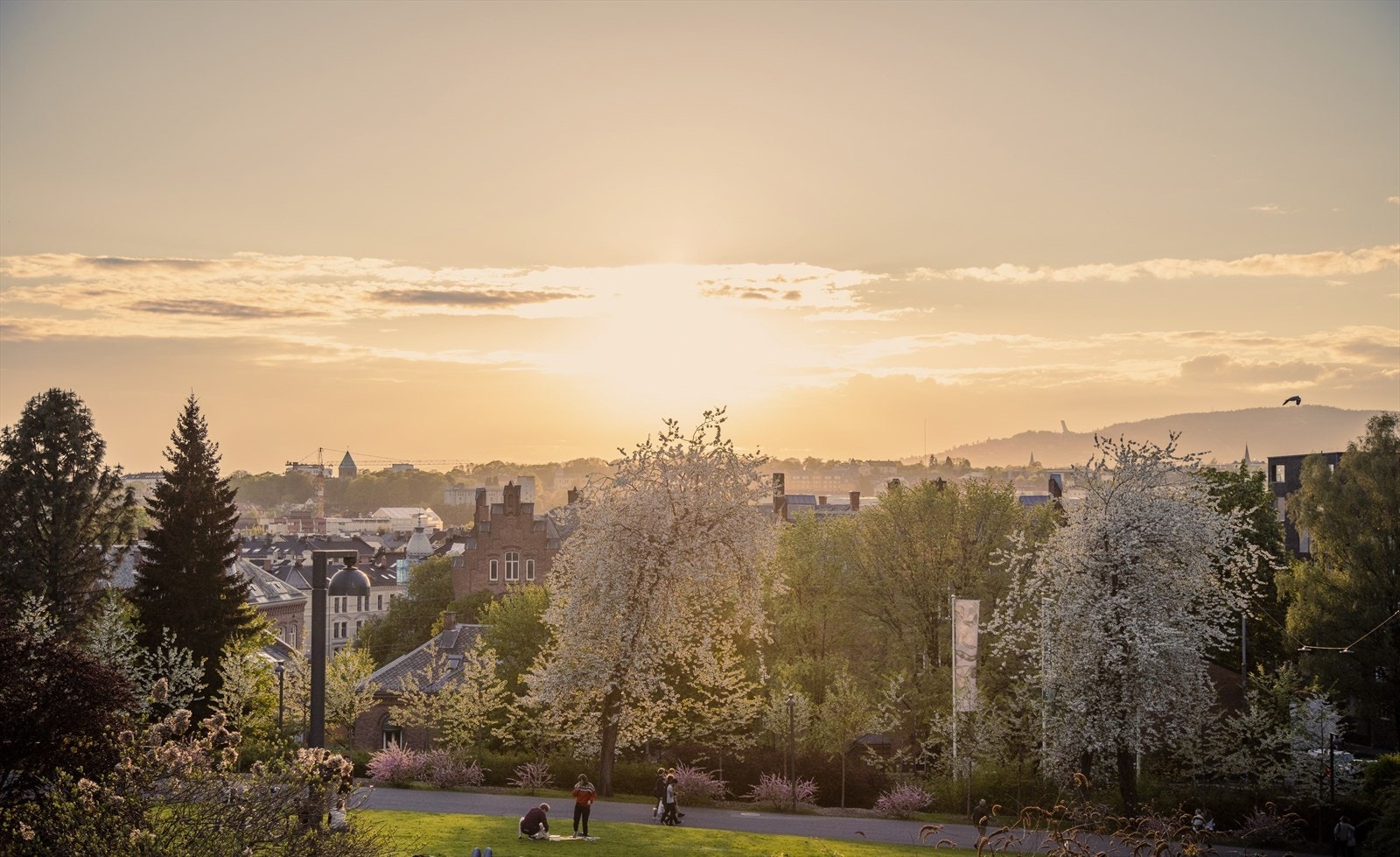 Områdebilde - Fra leiligheten er det gangavstand til flere av byens fineste parker Galleribilde