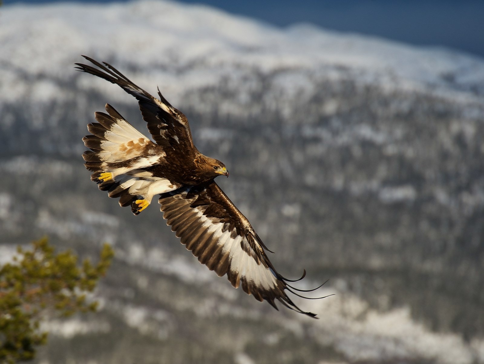 _DSC8305-2.jpg Galleribilde