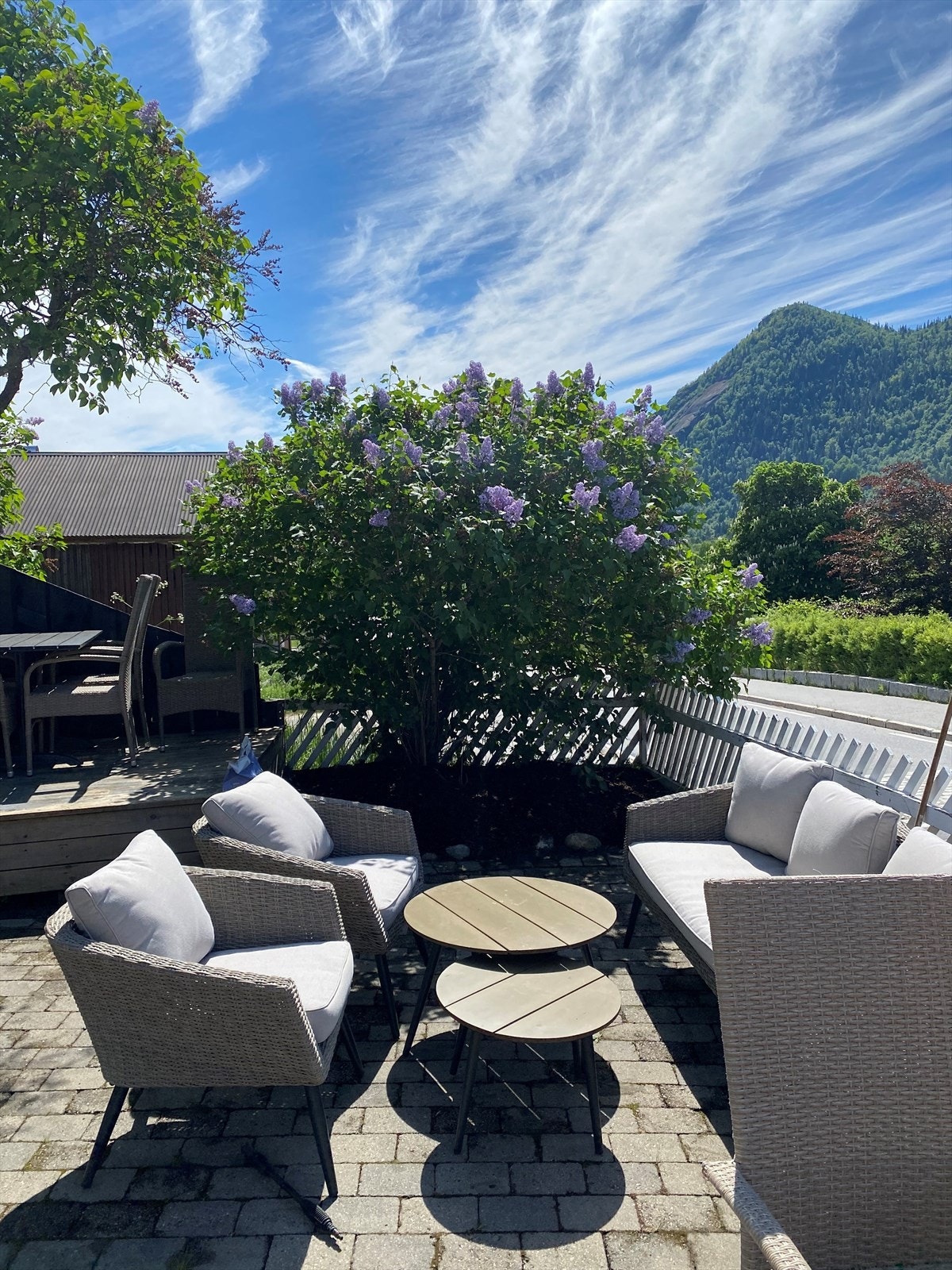 Bakgård Galleribilde