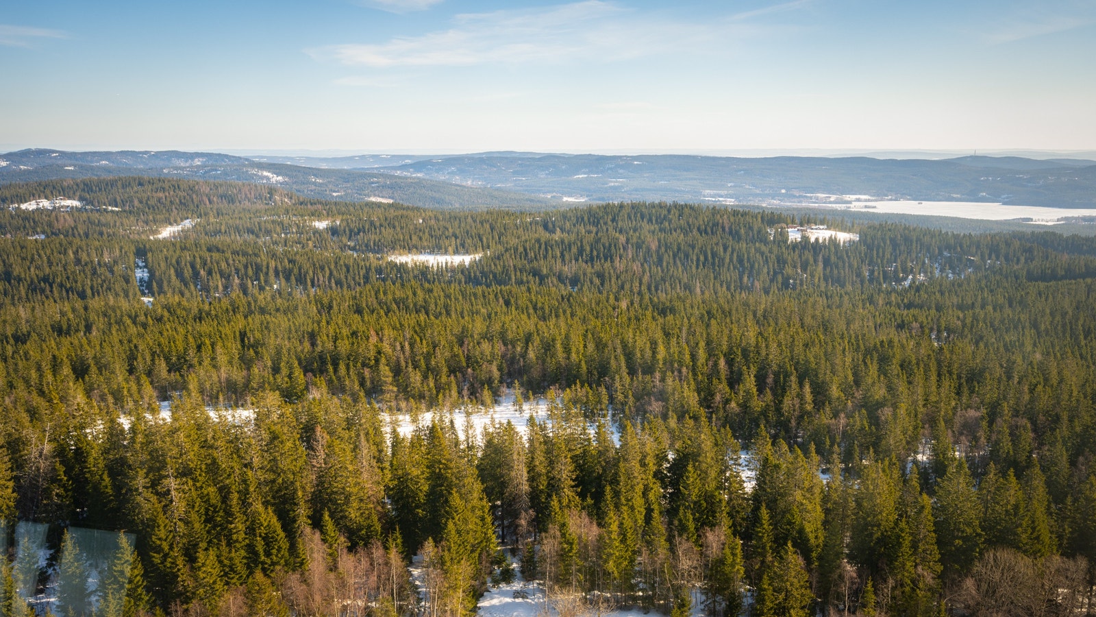 Foto: Dmitry Tkachenko / Oslo kommune Galleribilde
