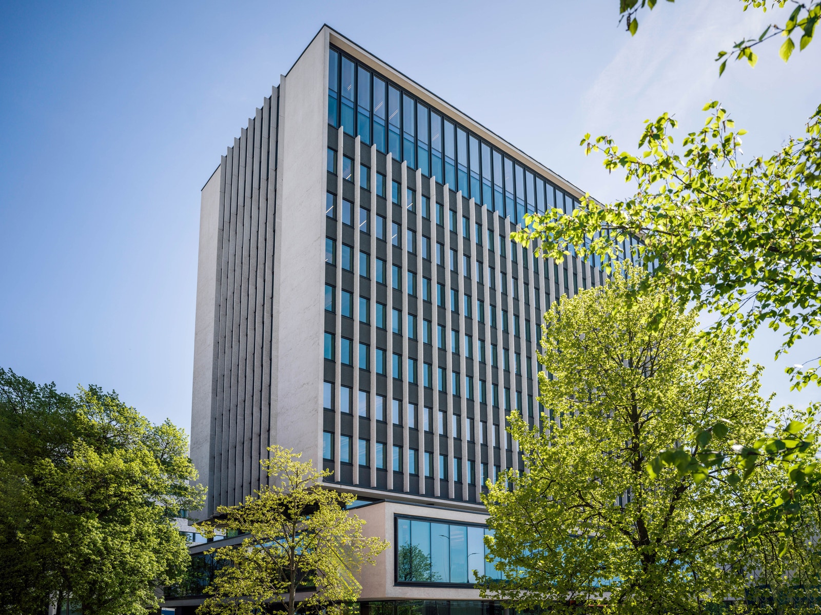 Store glassflater og gode lysforhold Galleribilde