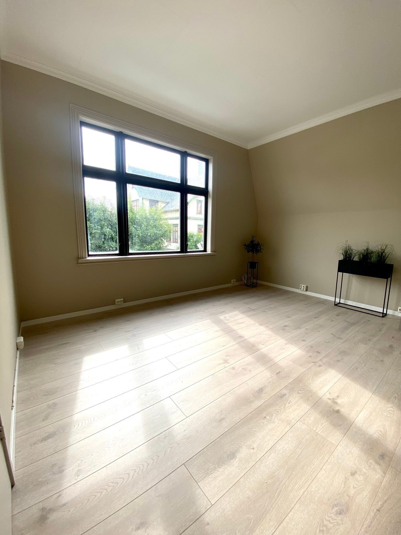 MORDERNE LYS STUE SOM SLIPPER INN MYE NATURLIG DAGSLYS Galleribilde