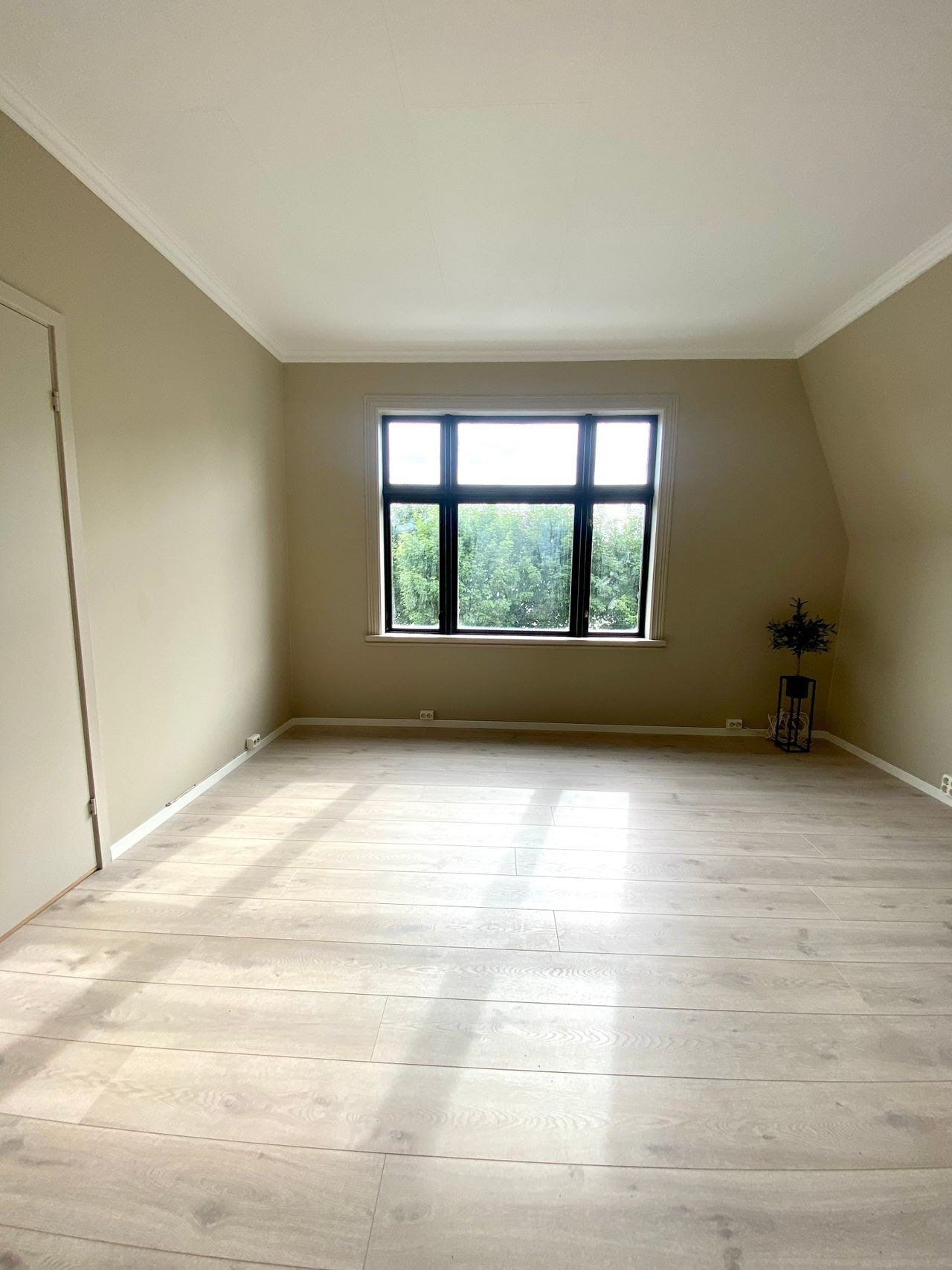 MORDERNE LYS STUE SOM SLIPPER INN MYE NATURLIG DAGSLYS Galleribilde