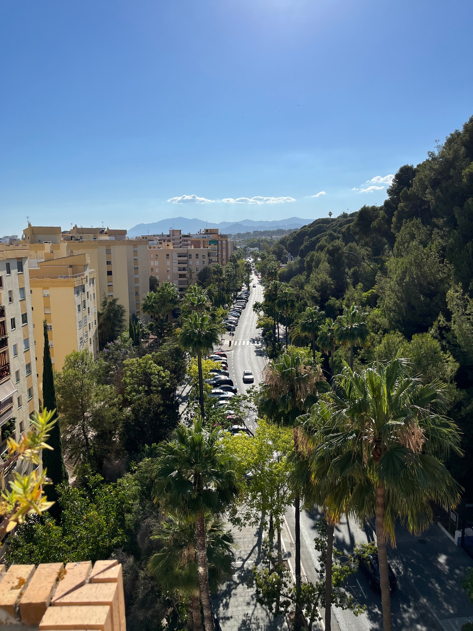 Utsikt mot vest. Galleribilde