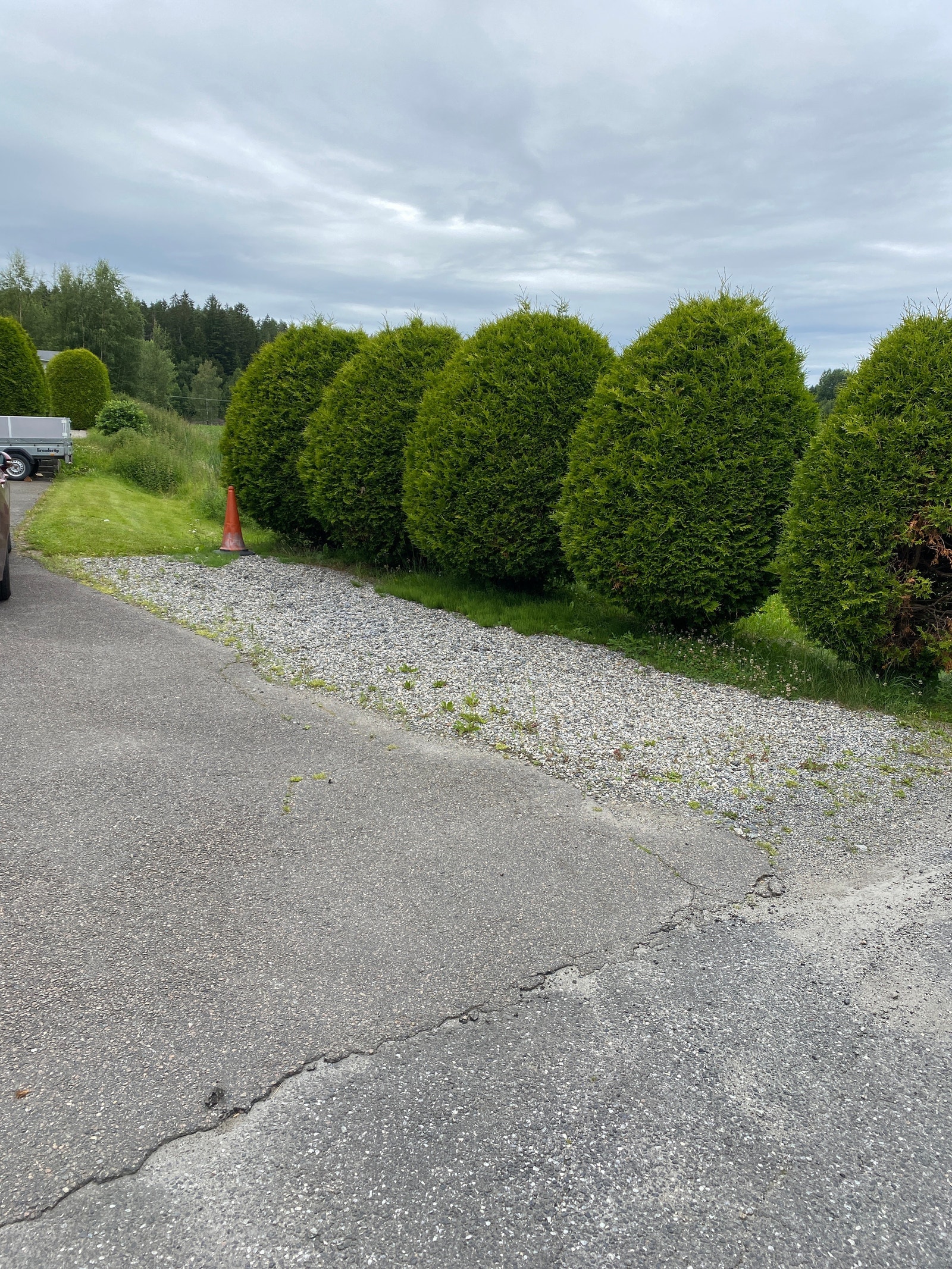 Parkering Galleribilde