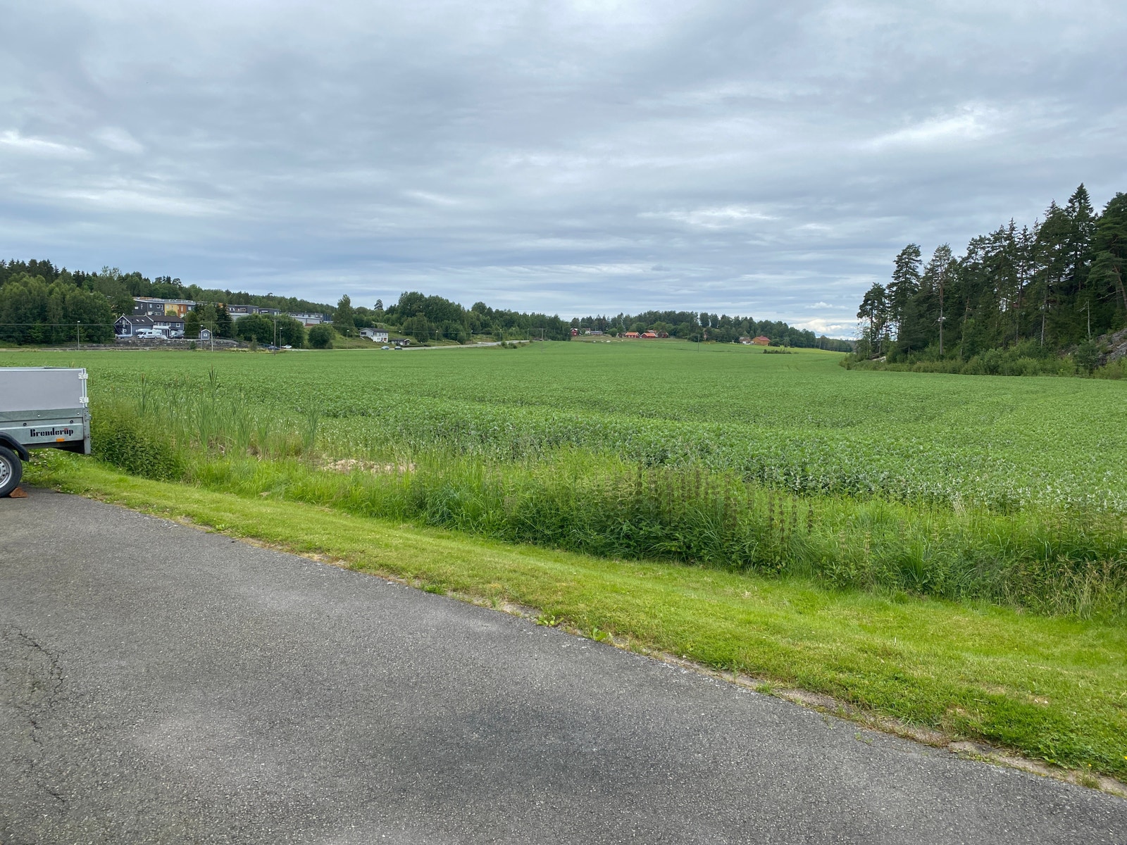 Utsikt. Landlige omgivelser Galleribilde