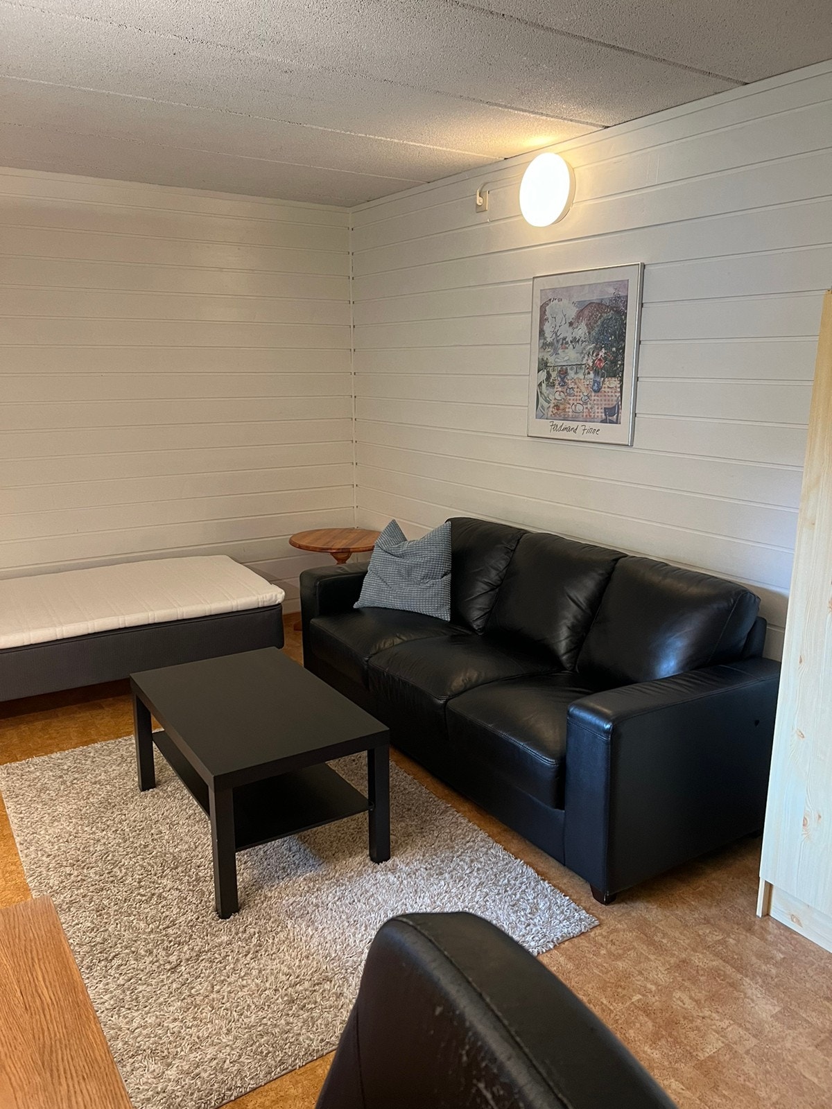 Utleid. Hybel nr. 2: 16,2 kvm. Romlig sofa, sofabord og teppe. Seng i bakgrunnen. Galleribilde