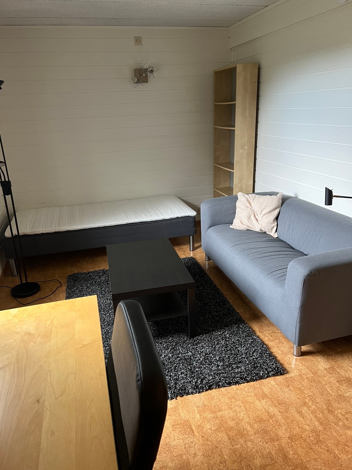 Ledig: Hybel 1: 14,5 kvm. Sofa, seng og kontorstol. Bokhylle i bakgrunnen. Galleribilde