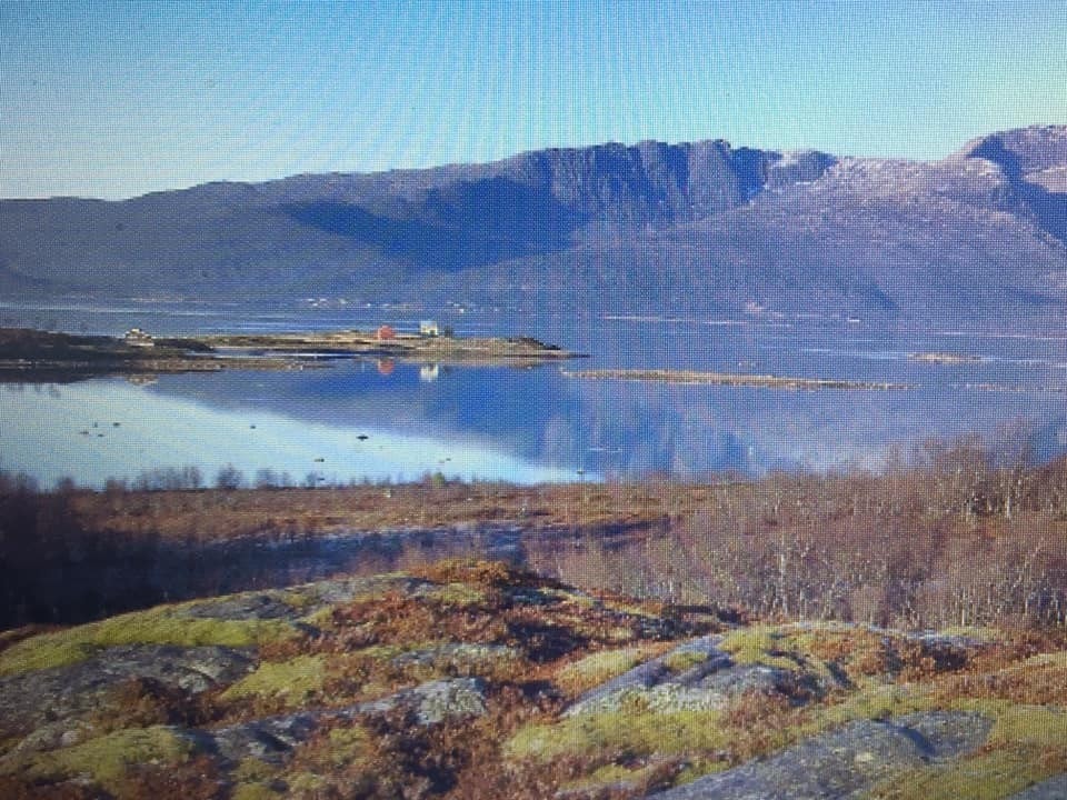 Sjøutsikt utover Tjeldsundet Galleribilde