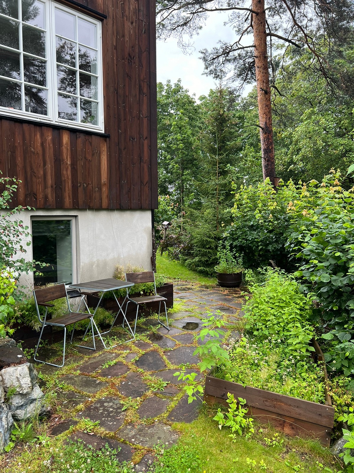 Uteområde mot syd Galleribilde