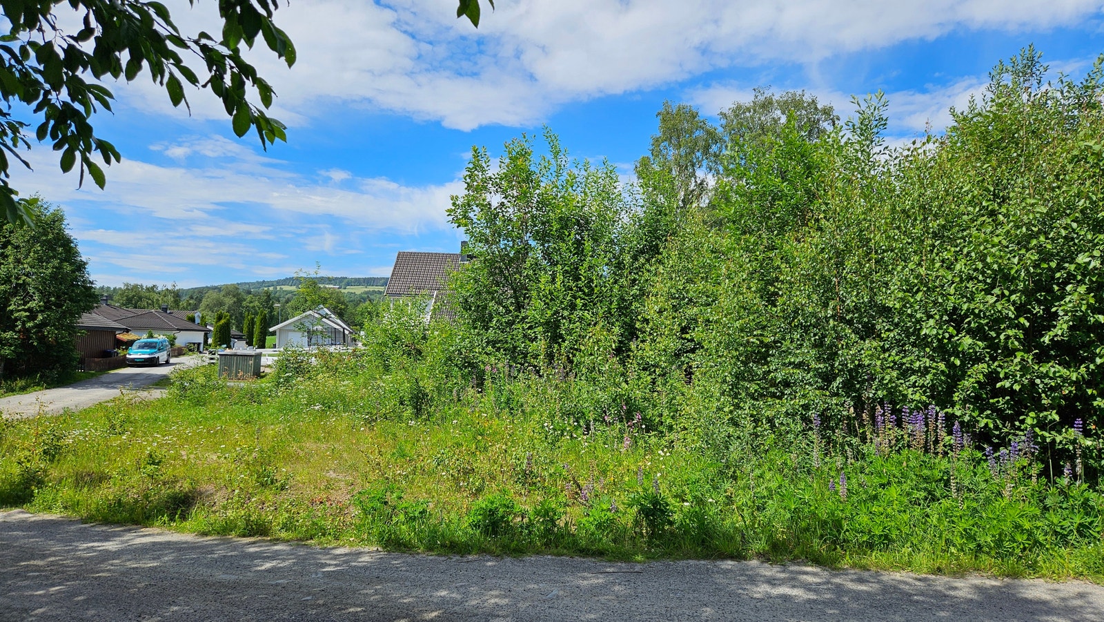 Tomtebilde Galleribilde