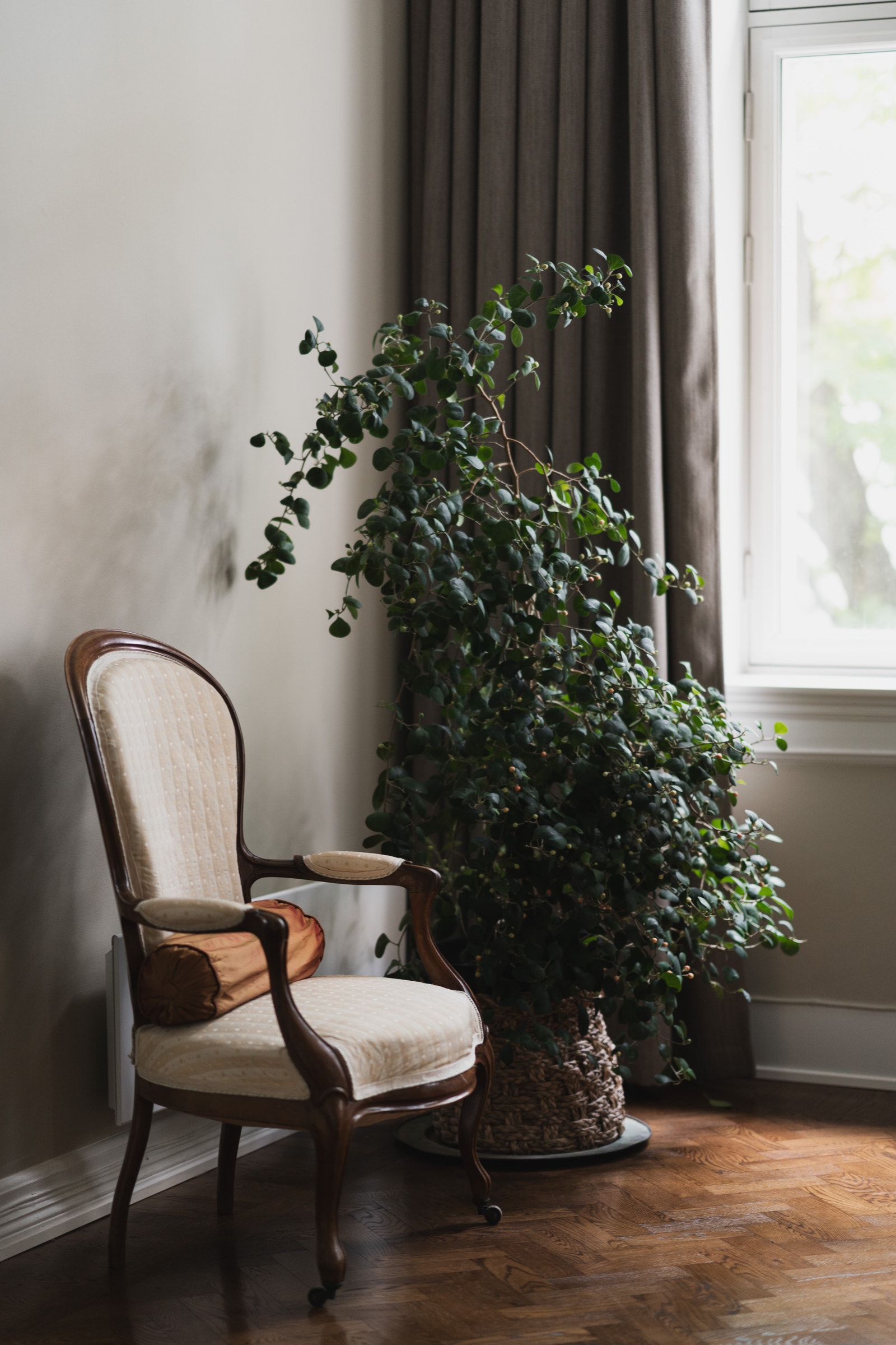 Soverom 3 | The Moon Room | Galleribilde