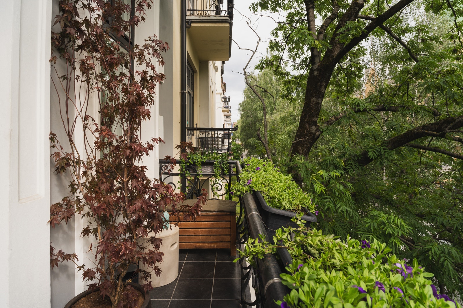 Balkong 1 | Inngang fra stue med kastanje trær Galleribilde