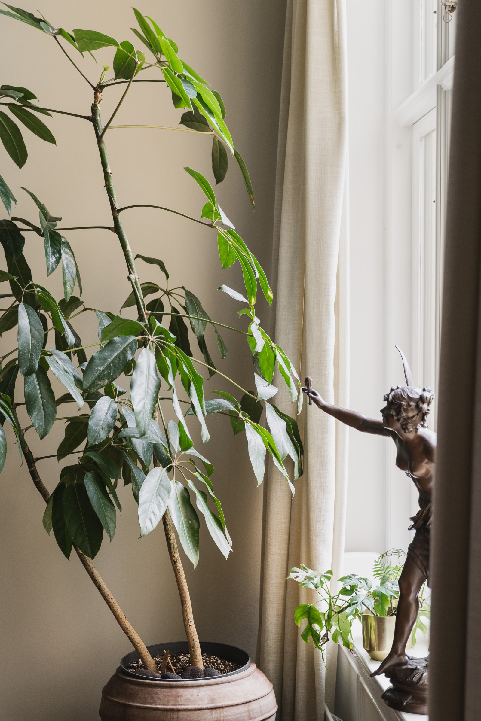 Kjøkken | Krok ved spisebord Galleribilde