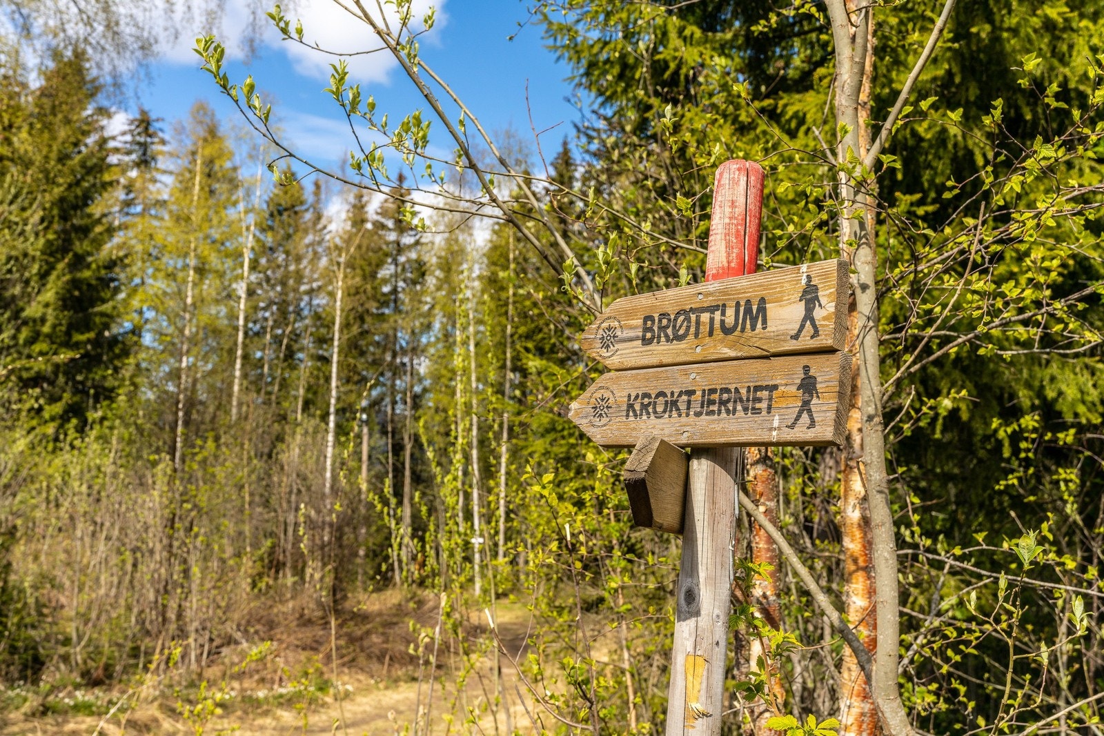 Flotte turmuligheter rett utenfor døra! Galleribilde