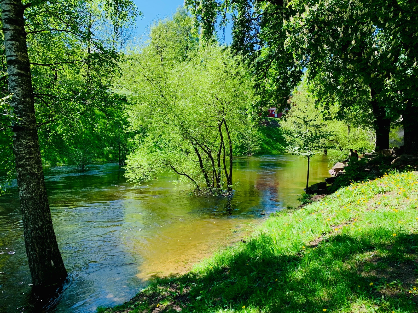 Ikke feil Galleribilde