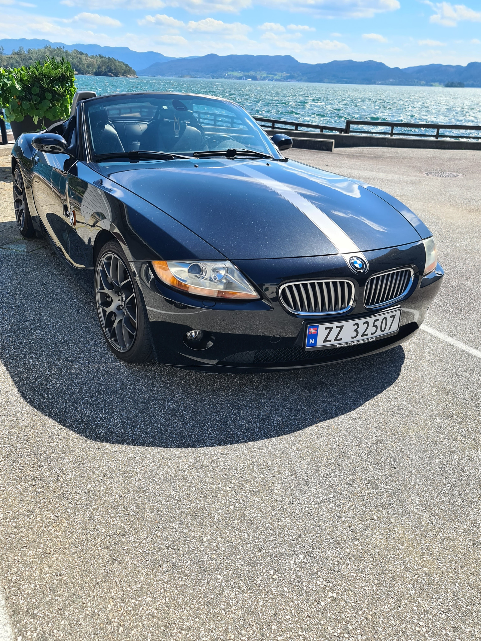 BMW Z4 Z4 3.0I 3.0-231 3