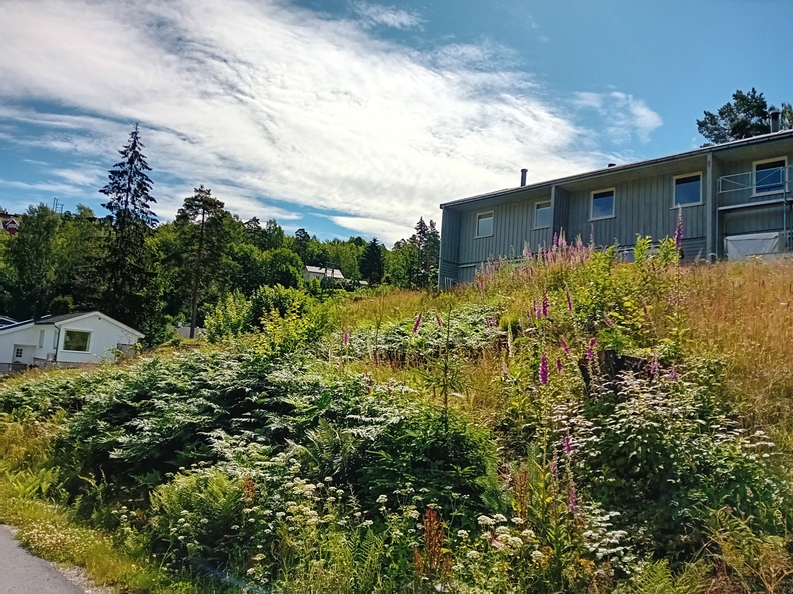 Boligen ligger i naturområde. Galleribilde