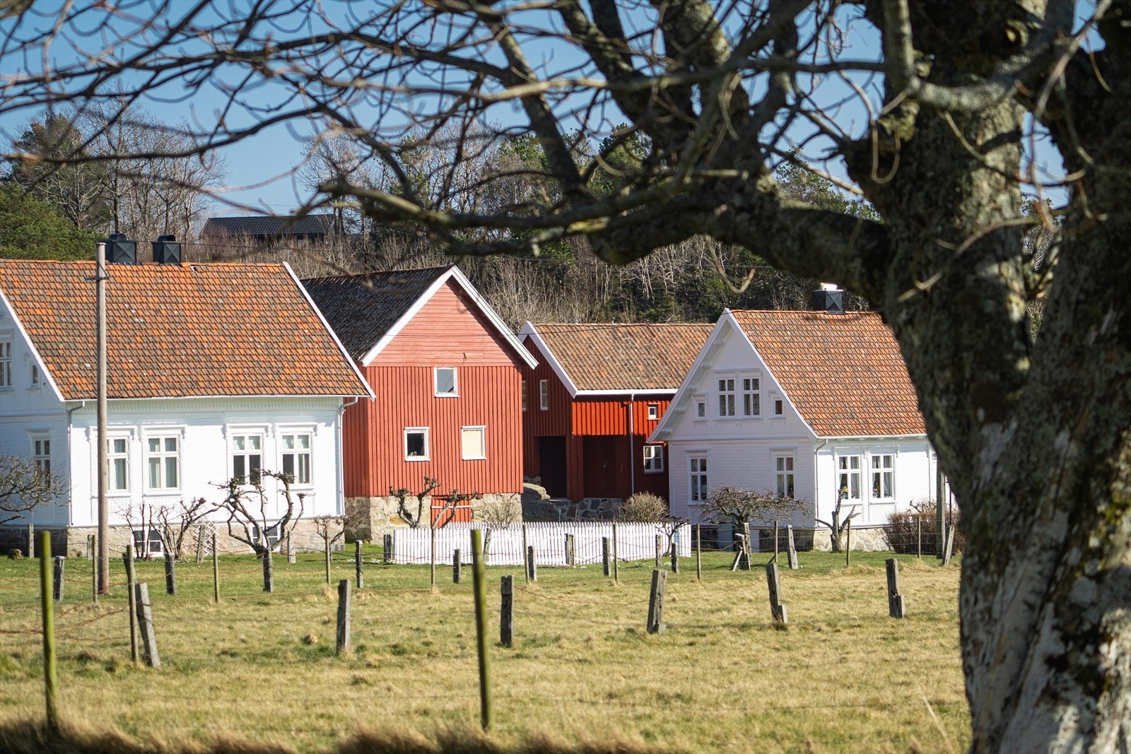 Bebyggelse inne på øya Galleribilde