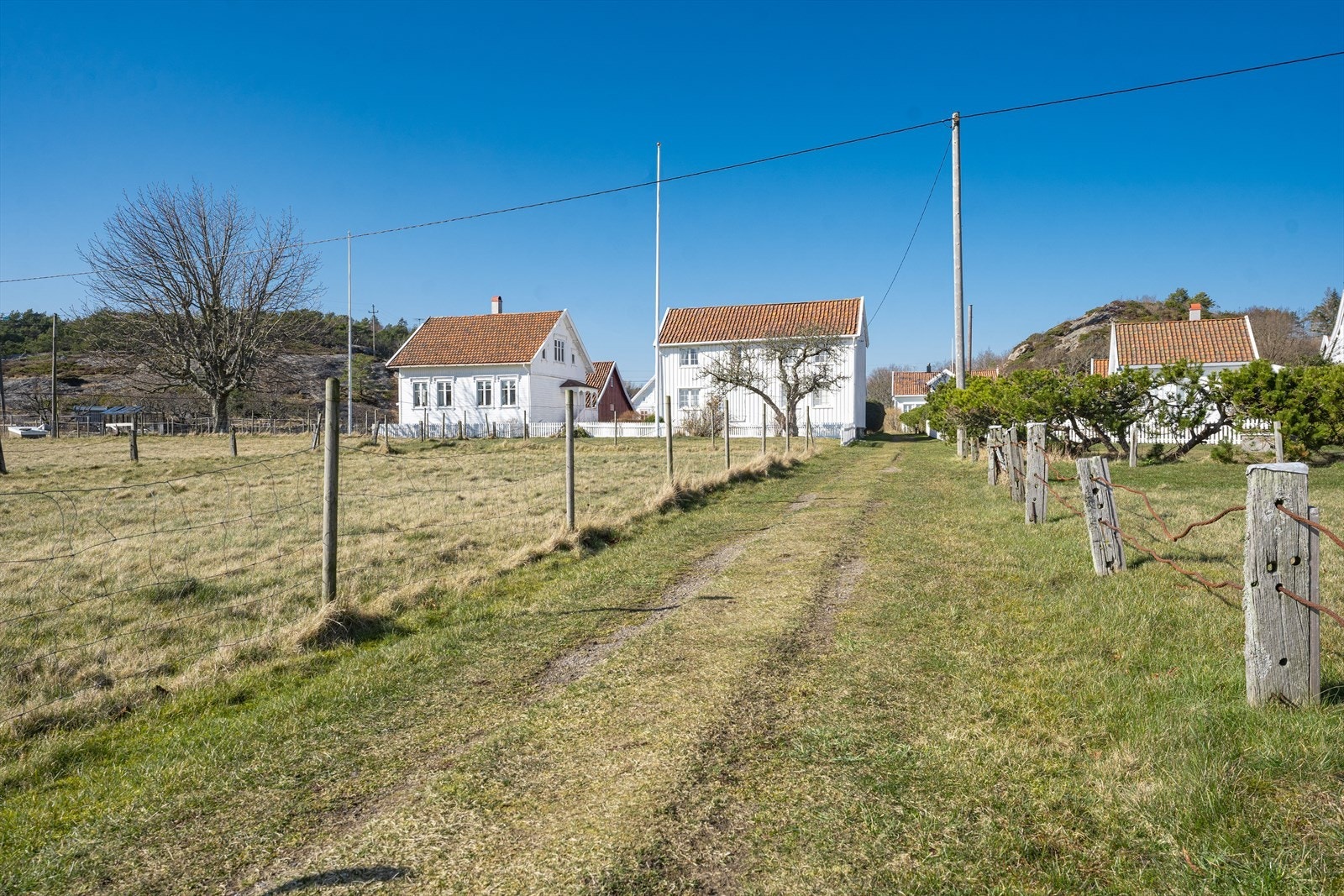 Bebyggelse inne på øya Galleribilde