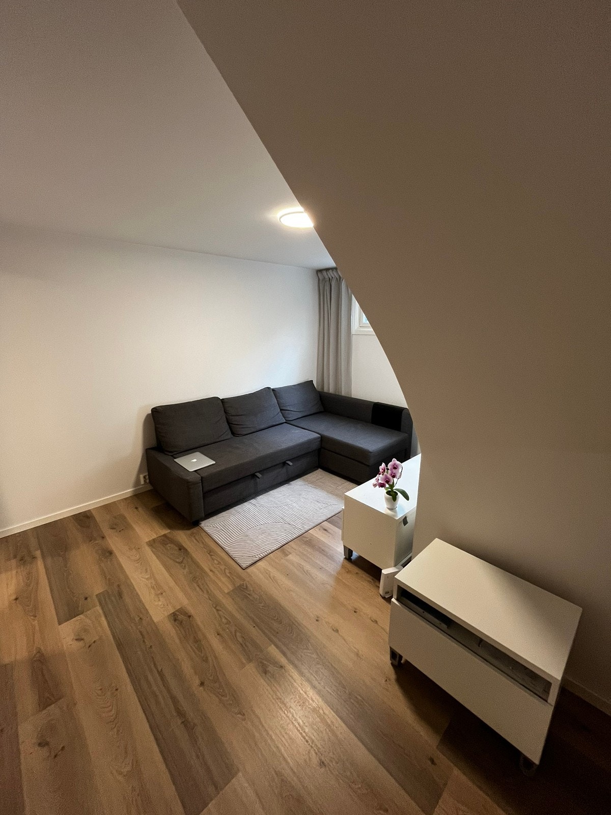 Stue Galleribilde