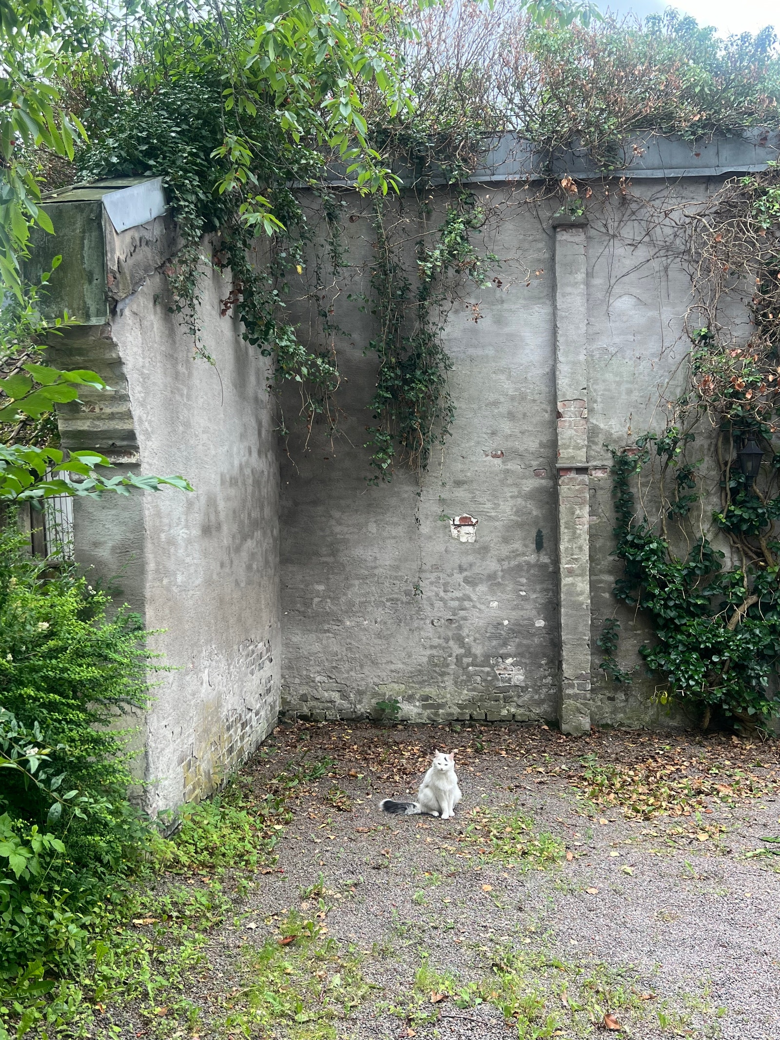 Parkeringsplassen helt til venstre Galleribilde